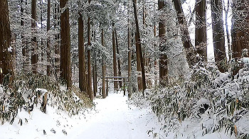 gx011582.mp4_snapshot_00.00_thumb.jpg