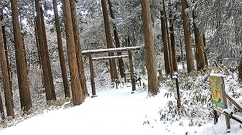 gx011582.mp4_snapshot_00.23_thumb.jpg
