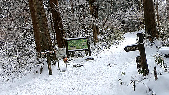 gx011582.mp4_snapshot_00.40_thumb.jpg