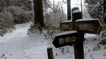 gx011582.mp4_snapshot_00.44_thumb.jpg