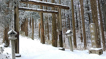 gx011582.mp4_snapshot_00.52_thumb.jpg