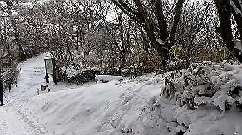 gx011583.mp4_snapshot_01.06_thumb.jpg