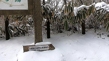 gx011583.mp4_snapshot_01.21_thumb.jpg