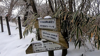 gx011583.mp4_snapshot_01.28_thumb.jpg