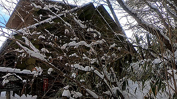 gx011587.mp4_snapshot_00.04_thumb.jpg