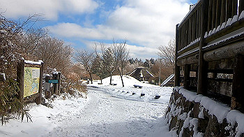 gx011587.mp4_snapshot_00.13_thumb.jpg