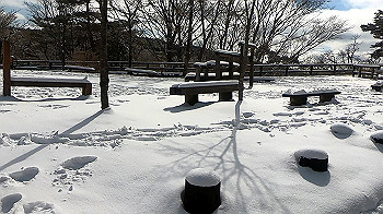 gx011587.mp4_snapshot_00.25_thumb.jpg