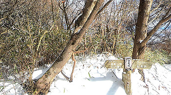 gx011588.mp4_snapshot_00.01_thumb.jpg