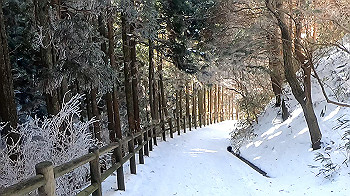 gx011589.mp4_snapshot_00.02_thumb.jpg