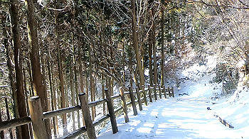 gx011589.mp4_snapshot_00.31_thumb.jpg