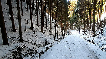 gx011590.mp4_snapshot_00.00_thumb.jpg