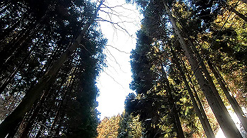 gx011590.mp4_snapshot_00.13_thumb.jpg