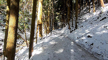 gx011591.mp4_snapshot_00.00_thumb.jpg