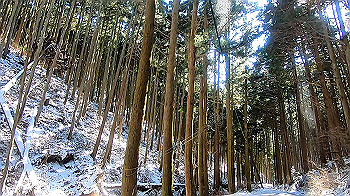 gx011592.mp4_snapshot_00.17_thumb.jpg