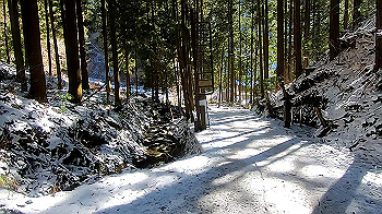 gx011593.mp4_snapshot_00.01_thumb.jpg
