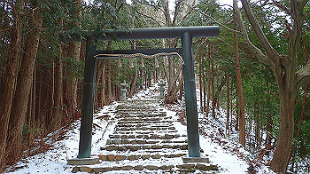 p2190302_thumb.jpg