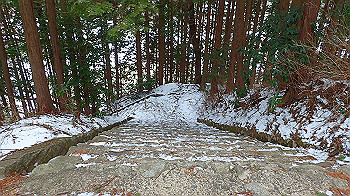 p2190303_thumb.jpg