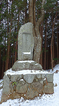 p2190305_thumb.jpg