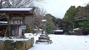 p2190308_thumb.jpg
