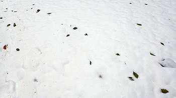 p2190310_thumb.jpg