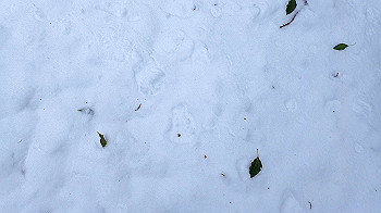 p2190312_thumb.jpg