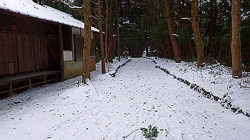 p2190317_thumb.jpg