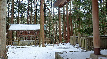 p2190336_thumb.jpg