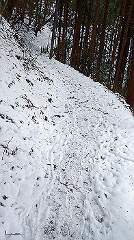 p2190346_thumb.jpg