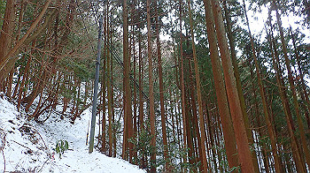 p2190347_thumb.jpg