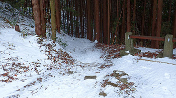 p2190349_thumb.jpg