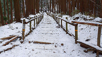 p2190359_thumb.jpg