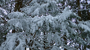 p2190362_thumb.jpg