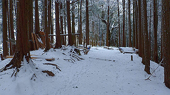 p2190369_thumb.jpg