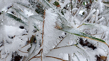 p2190371_thumb.jpg