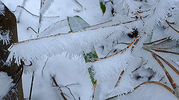 p2190372_thumb.jpg