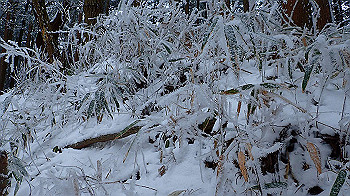 p2190373_thumb.jpg