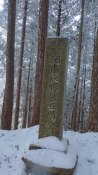 p2190387_thumb.jpg
