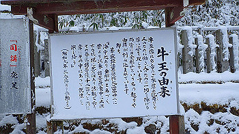 p2190400_thumb.jpg