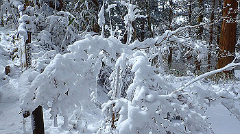 p2190417_thumb.jpg