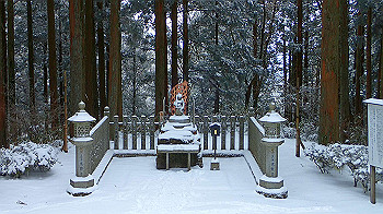 p2190433_thumb.jpg