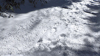 p2190435_thumb.jpg