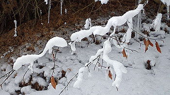 p2190450_thumb.jpg