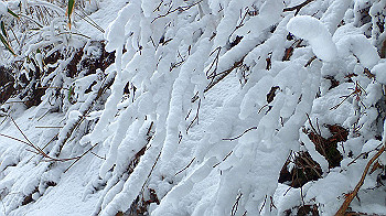 p2190452_thumb.jpg