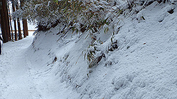 p2190453_thumb.jpg