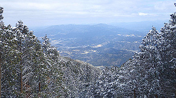 p2190457_thumb.jpg