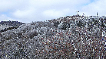 p2190458_thumb.jpg