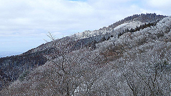 p2190459_thumb.jpg