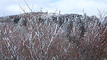p2190460_thumb.jpg