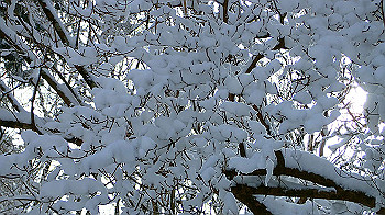 p2190471_thumb.jpg