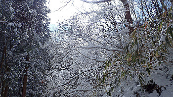 p2190474_thumb.jpg